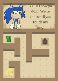 Sonic's Maze