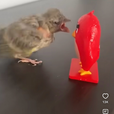 @Aribari2
