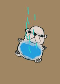Pibble washing game