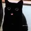 sinasina400_is_happy avatar