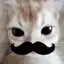 TheSecondThreat_CSB avatar