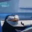 Blarret_NewAccount avatar