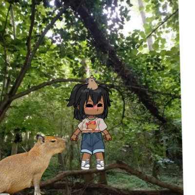 @capybaraiu