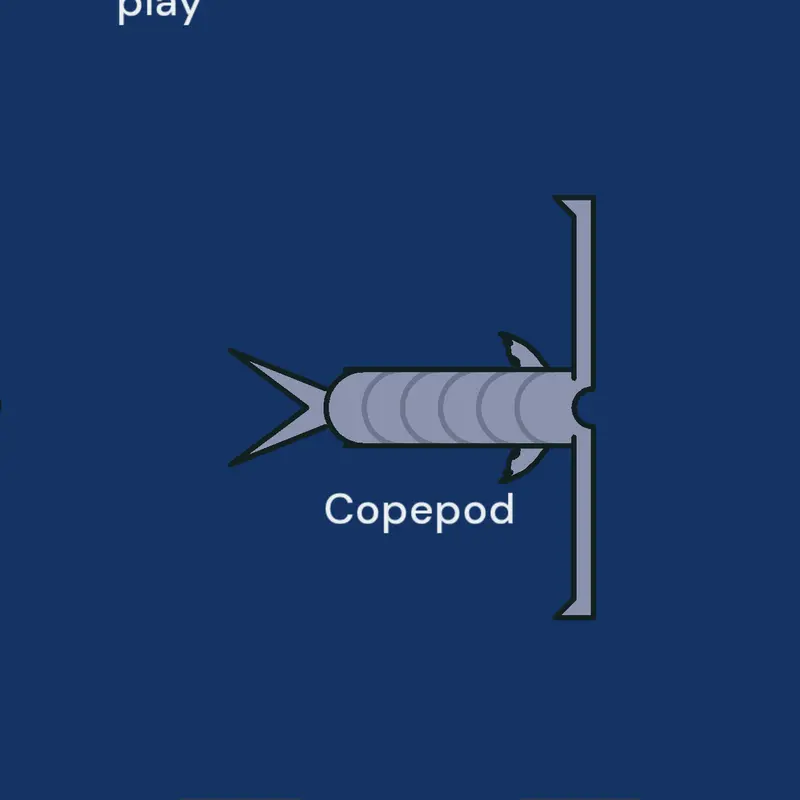 Bionix copepod by @LeonardoVasconcelos