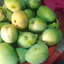 raaew avatar