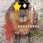 CEO_RIRIandGroby avatar