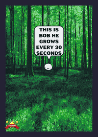 Bob The Time Waster