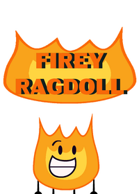 Firey Ragdoll