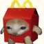 dominico_100 avatar