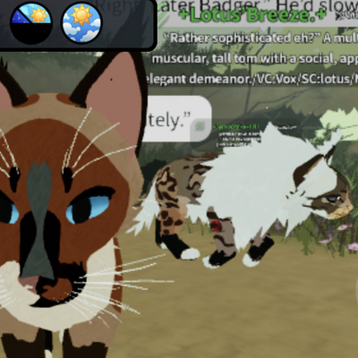 @CATS_F0R_LIFE