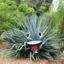 -_milco_- avatar