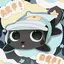 You_local_shark_cat avatar