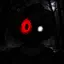 Wattey91_OFFICIAL avatar