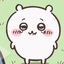chiikawa_OuO avatar