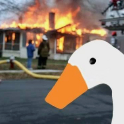 @goosegotglitch