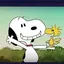 Snoopy101 avatar