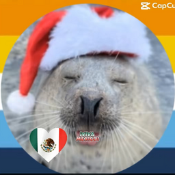 @sealsealsealsealseal