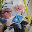 Sh4dowMilk_Cooki3 avatar
