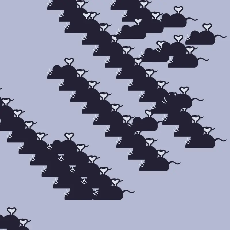 Game by @dancing_cat