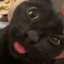 thisgame avatar