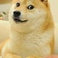 TheXXPolarBearVodka avatar