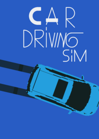 Car driving simulator