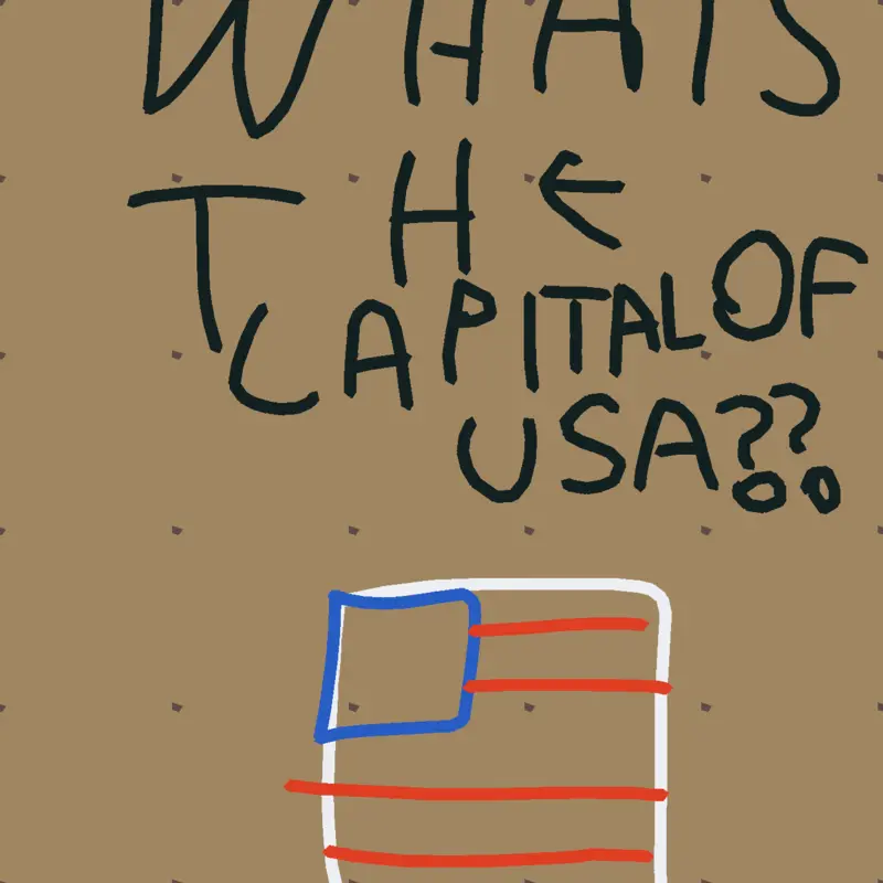 what's the capital of USA?! by @brainlessJAX