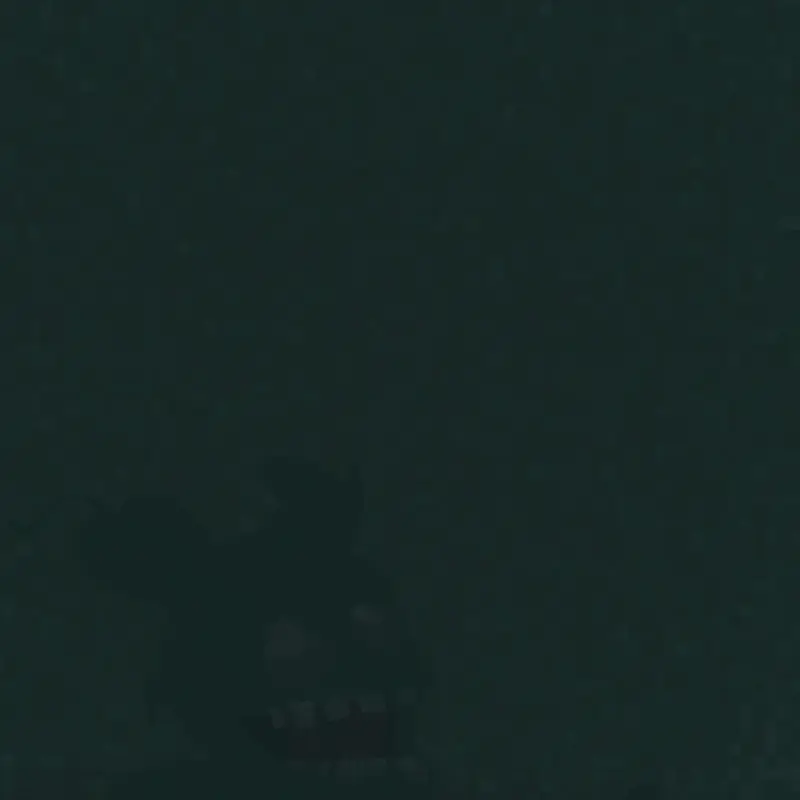 Bite by night ost chase themes by @sulfur_cube