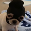 Dog_H avatar