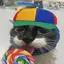 CatLolipop avatar