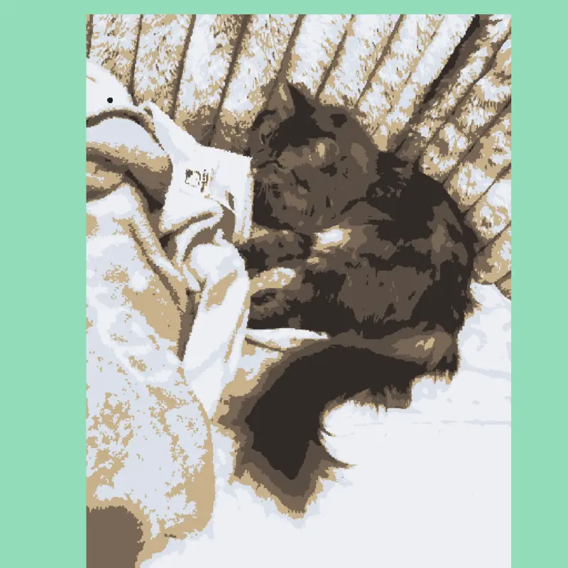 My cat in real life:3 by @yeprem815k
