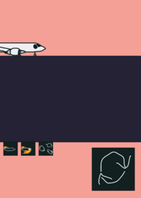 Realistic Plane Crash Simulator