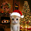 LyellDoesThings avatar