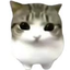 silly_timmer1 avatar