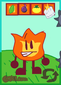 Firey ragdoll