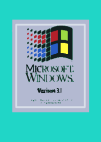 Windows 3.1 test