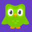 DuoOwl avatar
