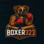 boxer323 avatar