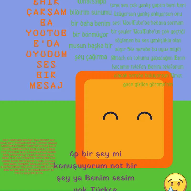 Söz bir daha am sus Söz bir daha am sus by @AtakanDemir1810