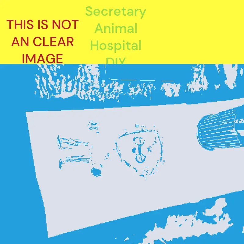 DIY ANIMAL HOSPITAL!!! by @user_529572