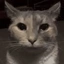 This_Guy_Is_Tunner avatar