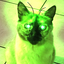 puffini avatar