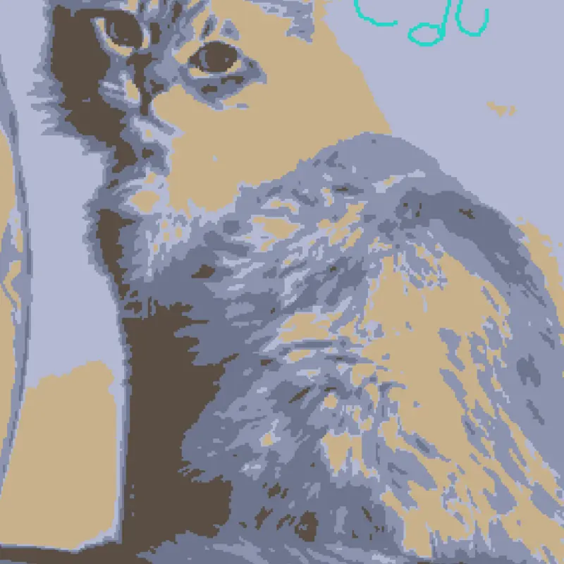 My cat by @CarolVolpe