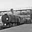 Q1steamlocomotive avatar