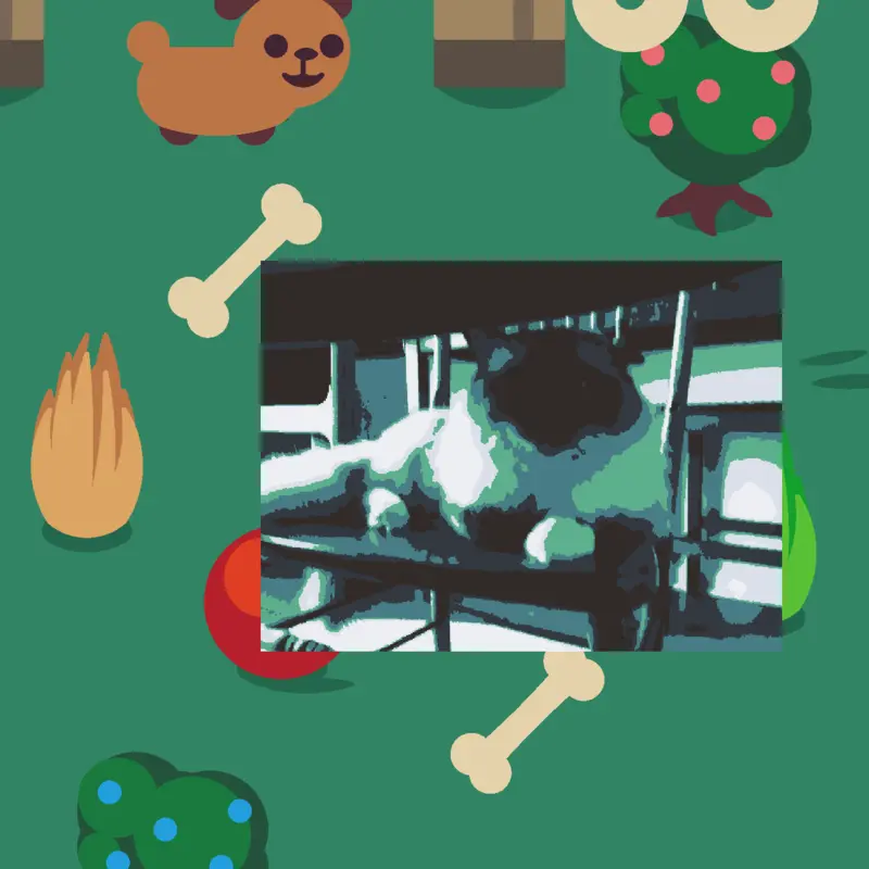 Prince the cat by @Spaceador