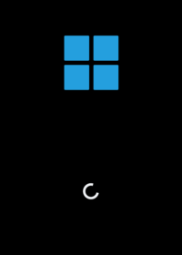 Windows 11