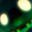dander3 avatar