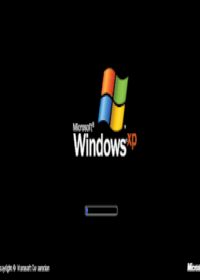 Working windows xp