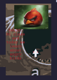 Idk