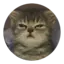 bob_YT avatar